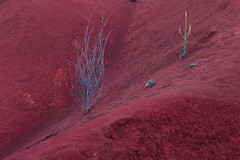 Tierra Roja