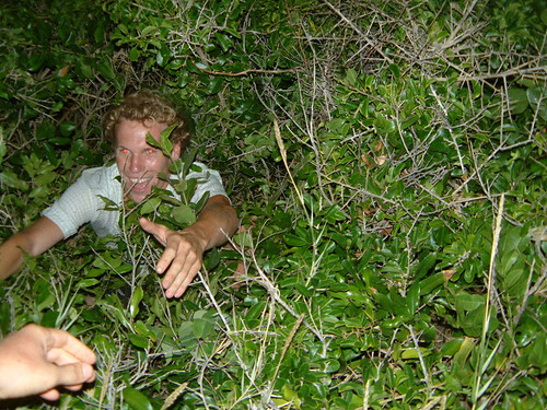 Bush diving / falling new years Tofu South East Africa Mozambique