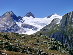 Die Schweizer Alpen