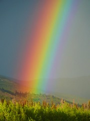 Rainbows !