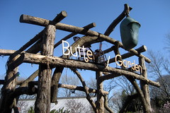 NYC - Bronx - Bronx Zoo: Butterfly Garden