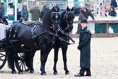 Royal Windsor Horse Show 2007