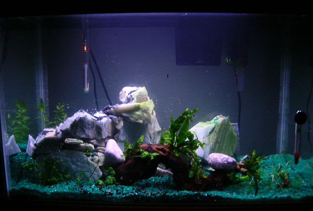 Redone tank, view from front
