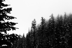 Whistler - British Columbia