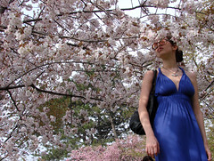 Amanda Lynn @ Cherry Blossoms