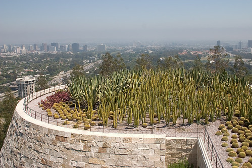 Cactus Garden by Giant Ginkgo