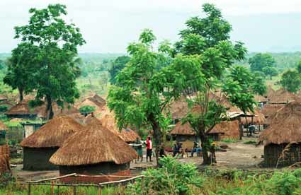 Dinka huts near the White Nile, southern Sudan by trudeau
