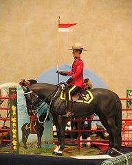 Toronto Live 2005 - MODEL HORSE SHOW