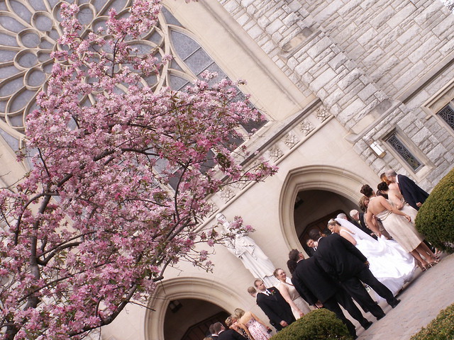 Spring wedding I shot this at a diagonal to keep the focus on the tree 