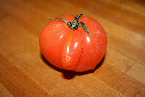 Tomato Penis 24