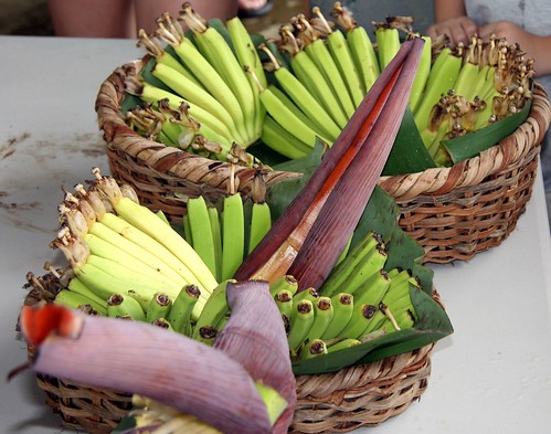 加勒比海地區的香蕉栽種。（攝影：Gail Frederick）