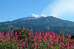 Etna 2007