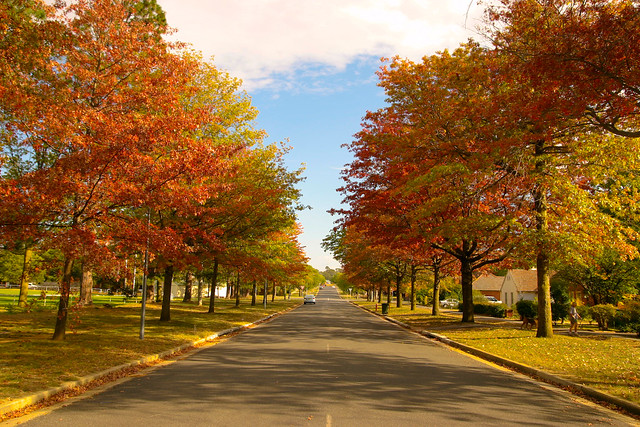 Where do you find the best autumn colors in Australia? (live in, best