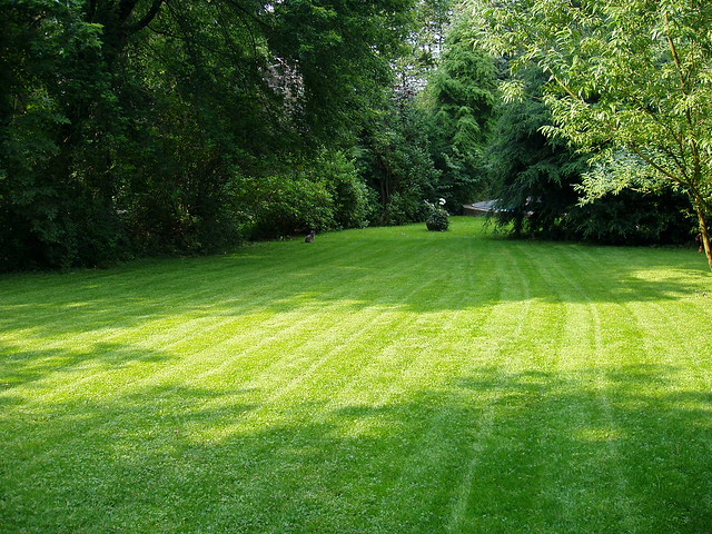 What a lawn | Flickr - Photo Sharing!