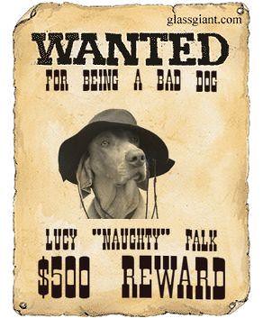 Link Wanted Poster