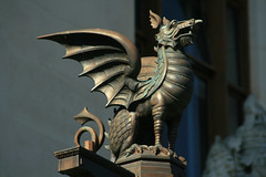 Welsh Dragons