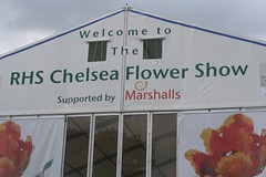 Chelsea Flower Show 2007