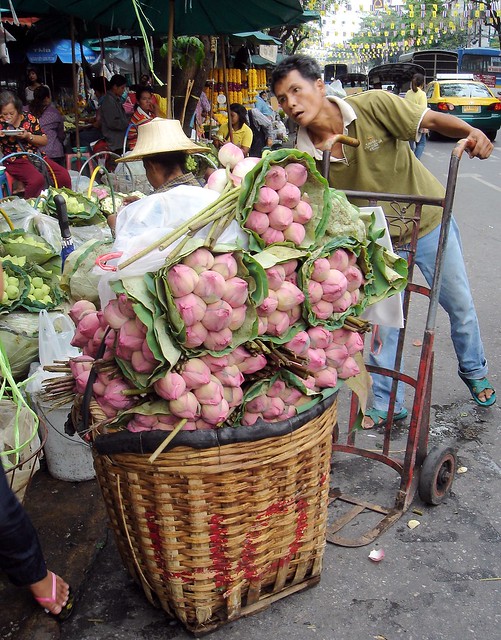 Lotus FLOWER DELIVERY man | Flickr - Photo Sharing!
