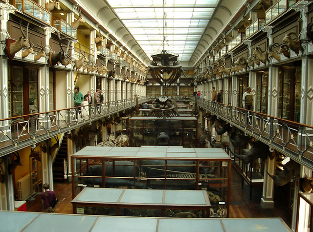 Natural History Museum, Dublin