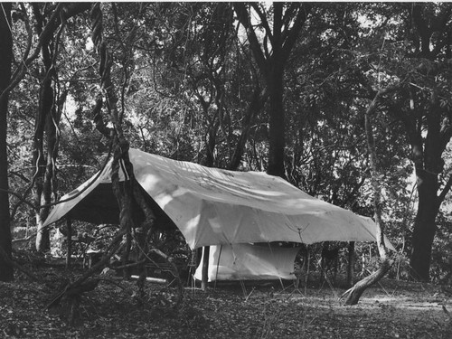 Camp, Zambesi Valley