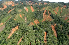 哥倫比亞的Antioquia區域，接近3000公頃的森林因砍伐及焚燒導致這些山崩（照片出處：SharedResponsibility）