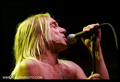 Iggy and the Stooges at 9:30 Club