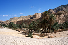 Red Sea & Sinai 2001