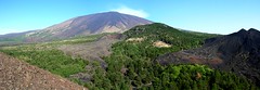 The thousand faces of Etna