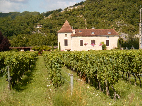 Cahors Wine Chateaux