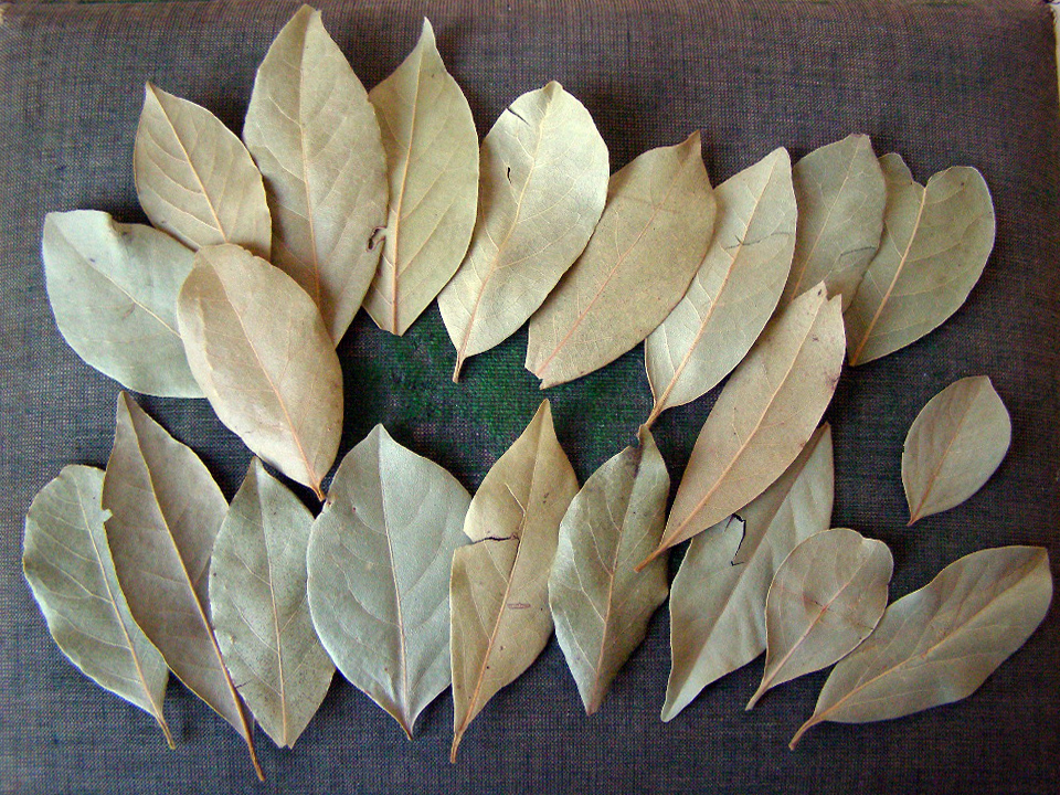 21 bay leaves