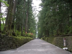 Nikko 2007
