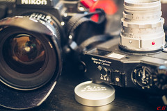 [Leica M] Canon 50mm f/1.4 Ltm