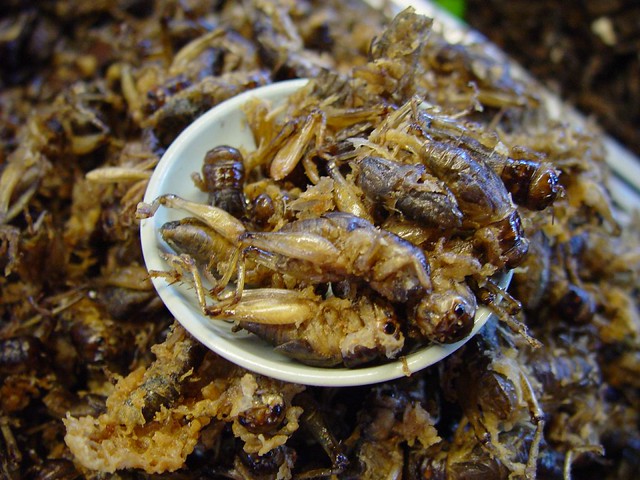 Thailand: Deep fried crickets