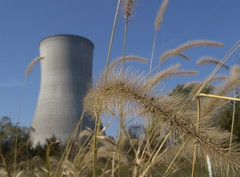 Callaway Nuclear Plant