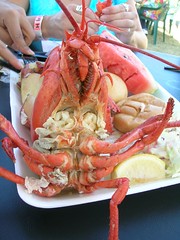 2005 Tempe Lobster Festival