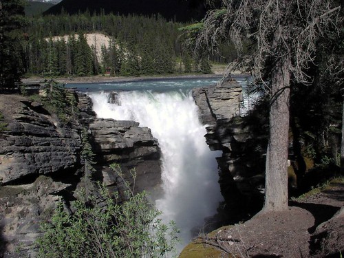Athabasca Falls / Canada
