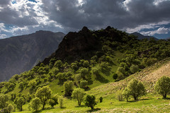 IRAN Travel, stage 07: Ab-Sefid Waterfalls - Sepid Dasht - Khorramabad - Pol Dokhtar - Ilam - Sarpol Zahab - Kermanshah - Paveh - Uraman Takht - Dezli