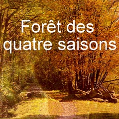 Forêt quatre saison