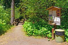 Delta Campground, Willamette National Forest