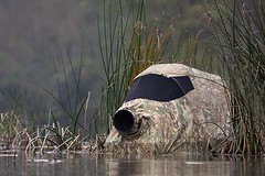 Floating hide | Abrigo flutuante