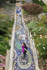 Tiled Steps in San Francisco