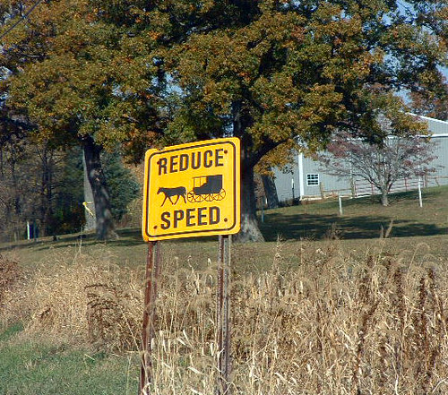 Reduce Speed for Horse and Buggy