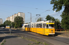 Trams in Budapest