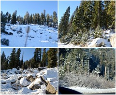 A Brief Special Trip To South Lake Tahoe (December 2016)