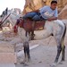 Petra - horse and horseman