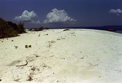Pulau Yamdena beaches