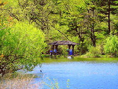 Lake at Spring
