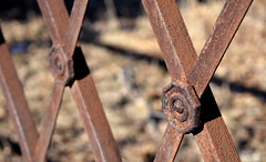 Rusty Fence Detail (II)