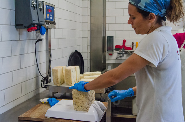 20150522-Cheesemaking-at-Corzano-e-Paterno-Winery-0290