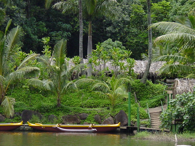 Ancient Rainforest Wedding Chapel secret Kauai home of the PukaDogs and 